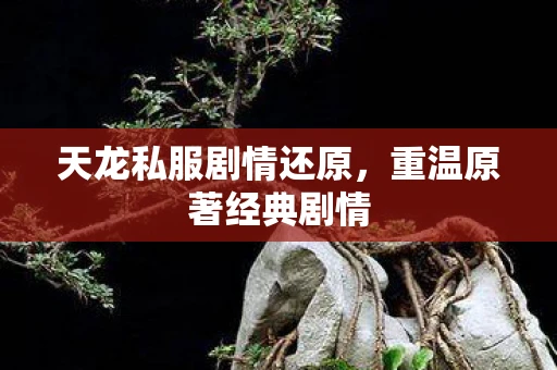 天龙私服剧情还原，重温原著经典剧情