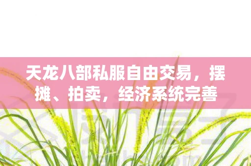 天龙八部私服自由交易，摆摊、拍卖，经济系统完善