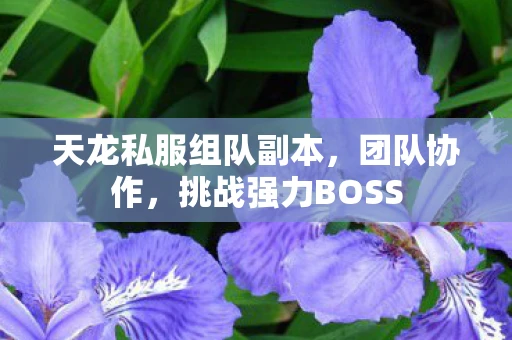 天龙私服组队副本，团队协作，挑战强力BOSS
