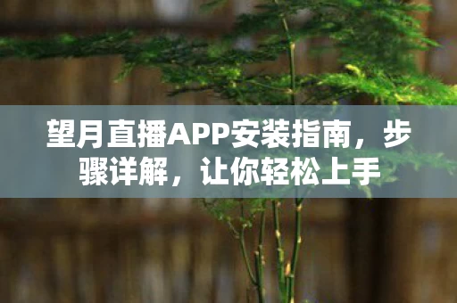 望月直播APP安装指南图片