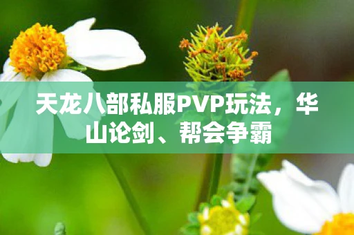 天龙八部私服PVP玩法，华山论剑、帮会争霸