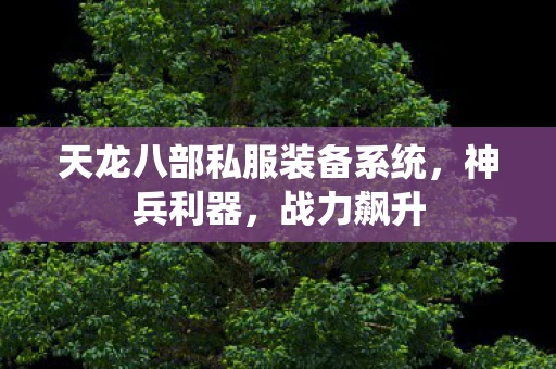 天龙八部私服装备系统，神兵利器，战力飙升