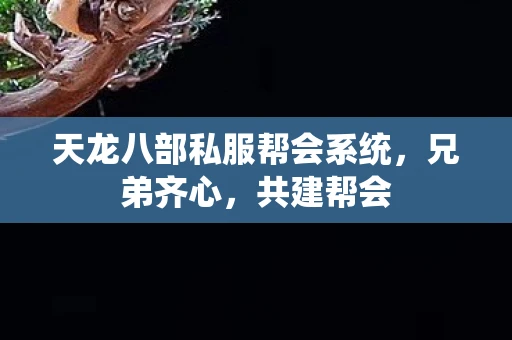 天龙八部私服帮会系统，兄弟齐心，共建帮会