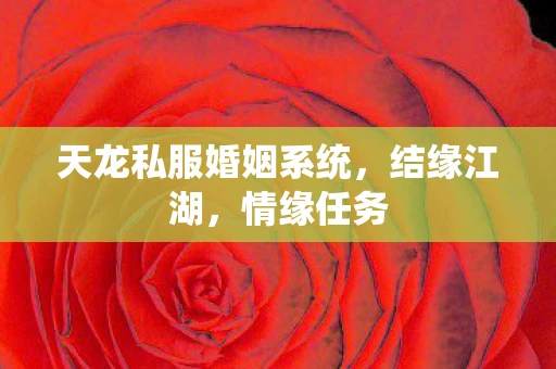 天龙私服婚姻系统，结缘江湖，情缘任务
