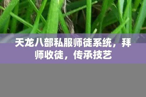 天龙八部私服师徒系统，拜师收徒，传承技艺