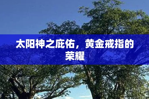 黄金戒指的荣耀图片