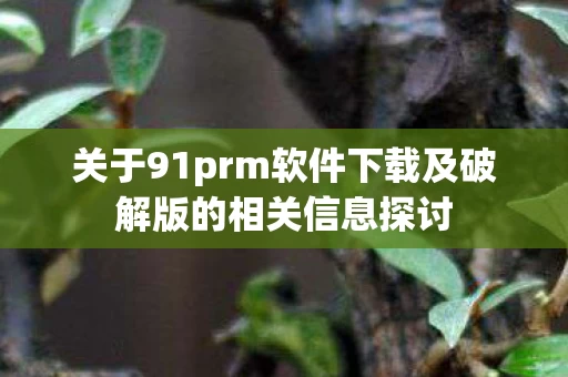 关于91prm软件下载及破解版的相关信息探讨图片