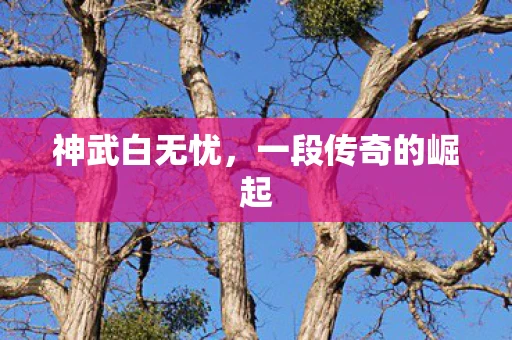 神武白无忧，一段传奇的崛起