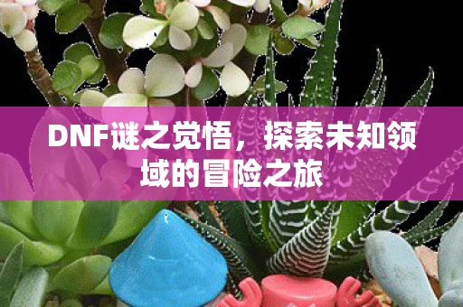 DNF谜之觉悟，探索未知领域的冒险之旅