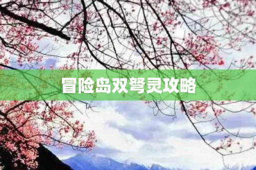 冒险岛双弩灵攻略