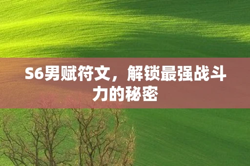 S6男赋符文，解锁最强战斗力的秘密