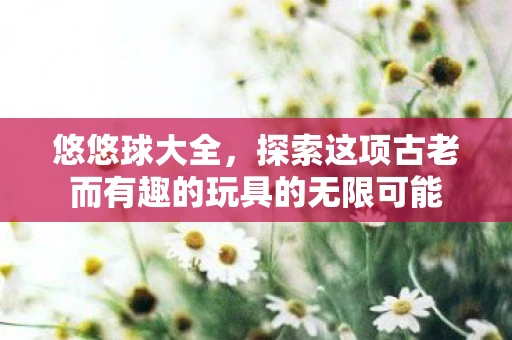 悠悠球大全，探索这项古老而有趣的玩具的无限可能