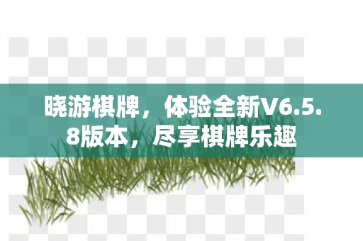 体验全新V6图片