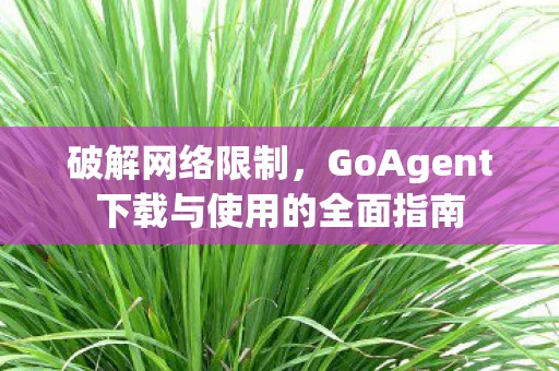 破解网络限制，GoAgent下载与使用的全面指南