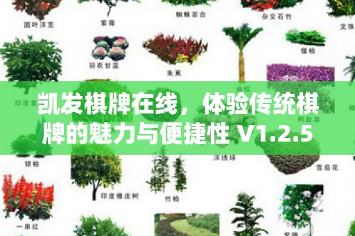 体验传统棋牌的魅力与便捷性 V1图片