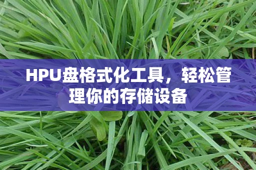 HPU盘格式化工具，轻松管理你的存储设备
