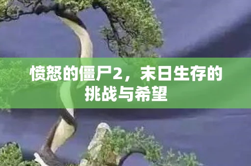 愤怒的僵尸2，末日生存的挑战与希望