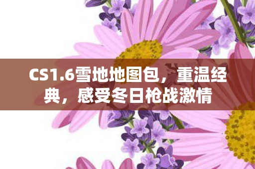 CS1.6雪地地图包，重温经典，感受冬日枪战激情