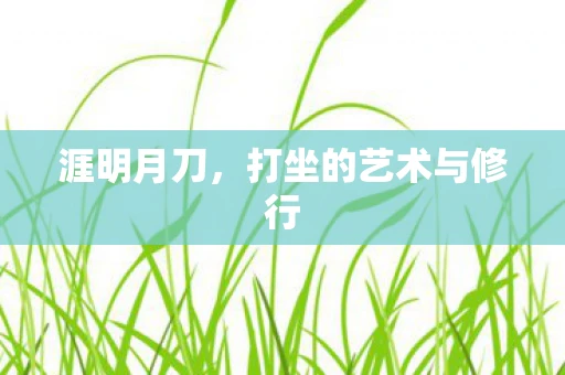 涯明月刀，打坐的艺术与修行