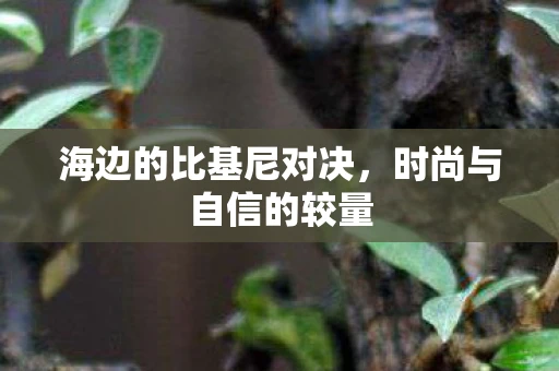 海边的比基尼对决，时尚与自信的较量