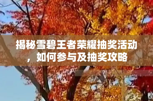 揭秘雪碧王者荣耀抽奖活动图片