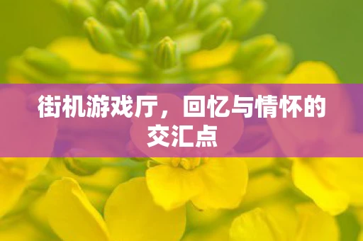 街机游戏厅，回忆与情怀的交汇点