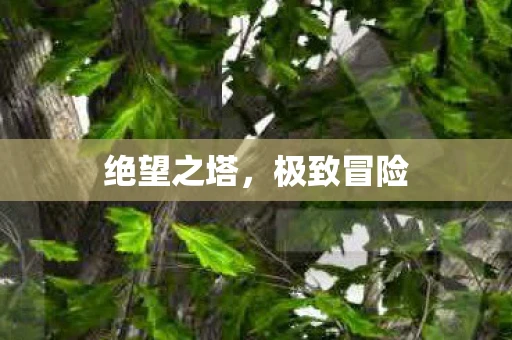 绝望之塔，极致冒险