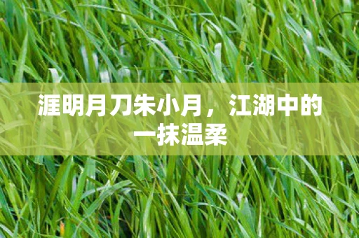 涯明月刀朱小月，江湖中的一抹温柔