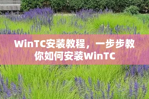一步步教你如何安装WinTC图片