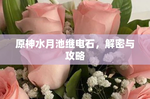 原神水月池继电石，解密与攻略