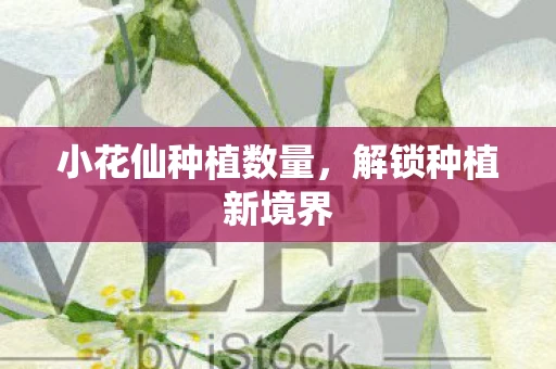 小花仙种植数量，解锁种植新境界