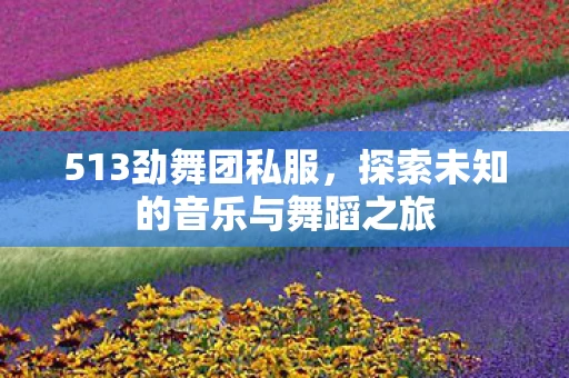513劲舞团私服，探索未知的音乐与舞蹈之旅