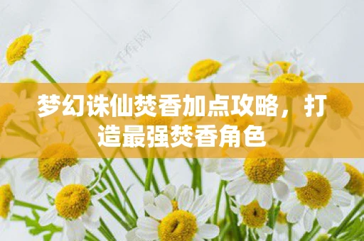 梦幻诛仙焚香加点攻略，打造最强焚香角色