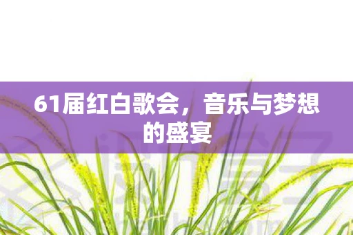 61届红白歌会，音乐与梦想的盛宴