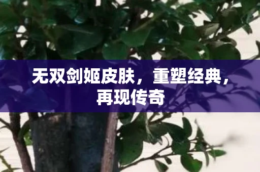 无双剑姬皮肤，重塑经典，再现传奇