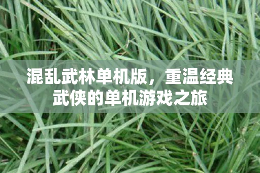 混乱武林单机版，重温经典武侠的单机游戏之旅