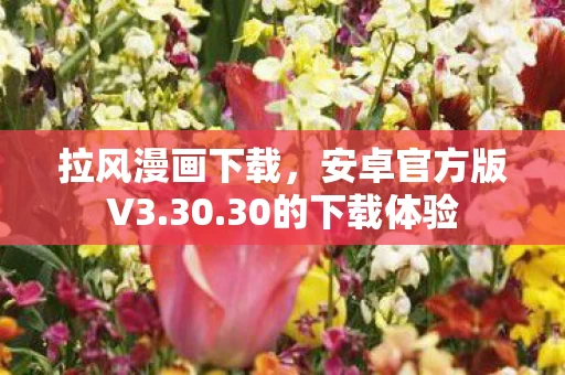 安卓官方版V3图片