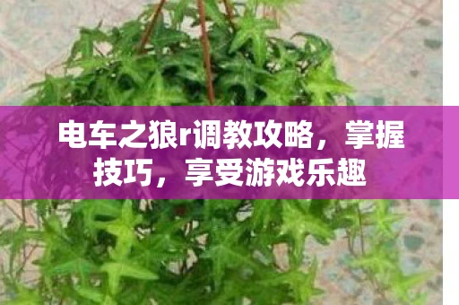 电车之狼r调教攻略，掌握技巧，享受游戏乐趣