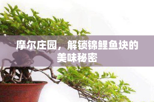 摩尔庄园，解锁锦鲤鱼块的美味秘密