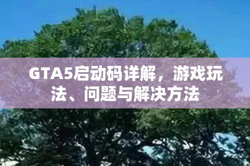 GTA5启动码详解图片