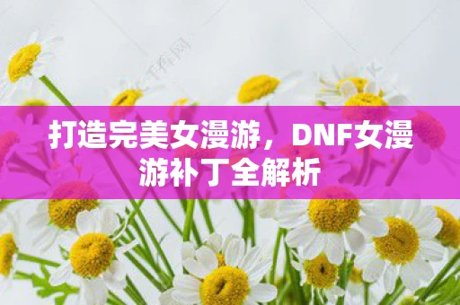 打造完美女漫游，DNF女漫游补丁全解析