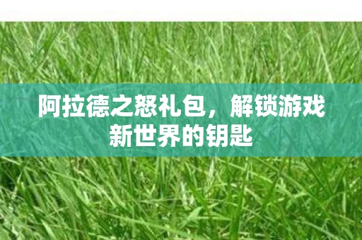 阿拉德之怒礼包，解锁游戏新世界的钥匙