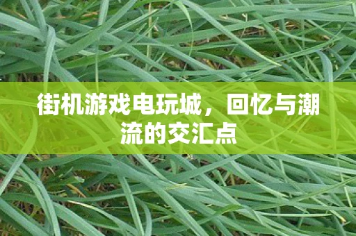 街机游戏电玩城，回忆与潮流的交汇点