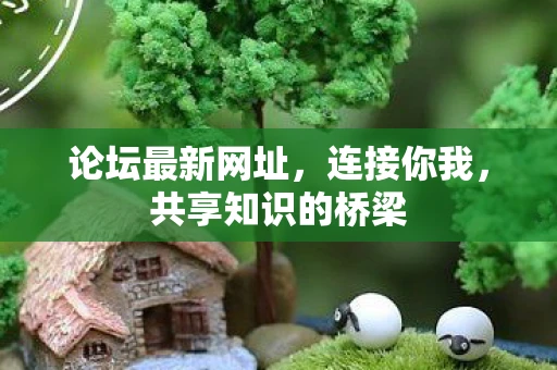 论坛最新网址，连接你我，共享知识的桥梁