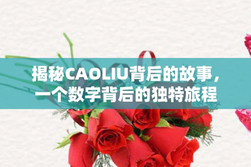 揭秘CAOLIU背后的故事，一个数字背后的独特旅程