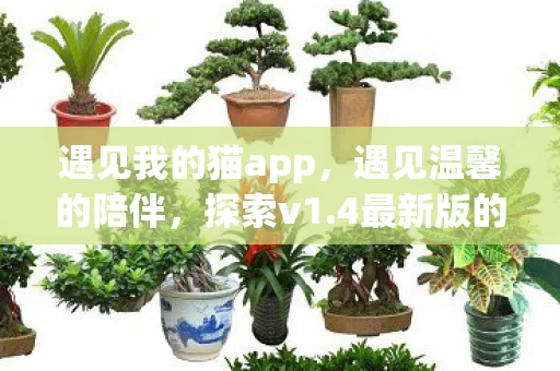 4最新版的下载之旅图片