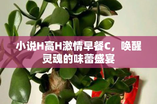 小说H高H激情早餐C，唤醒灵魂的味蕾盛宴