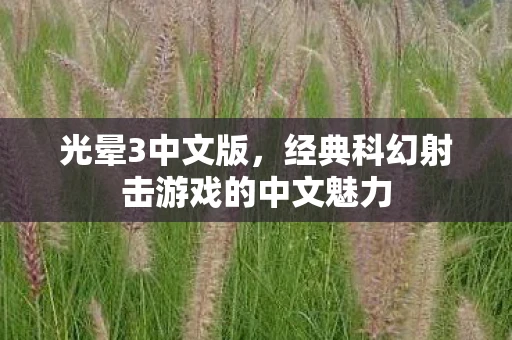 光晕3中文版，经典科幻射击游戏的中文魅力