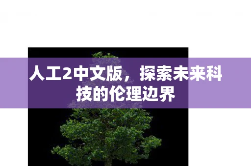 人工2中文版，探索未来科技的伦理边界