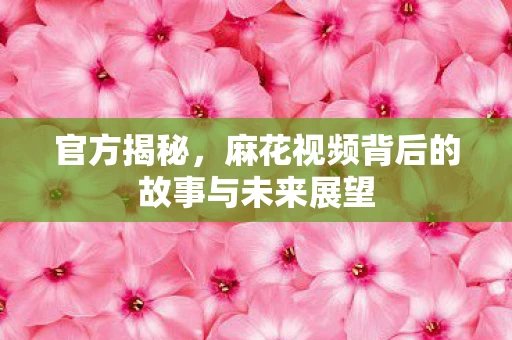 官方揭秘，麻花视频背后的故事与未来展望